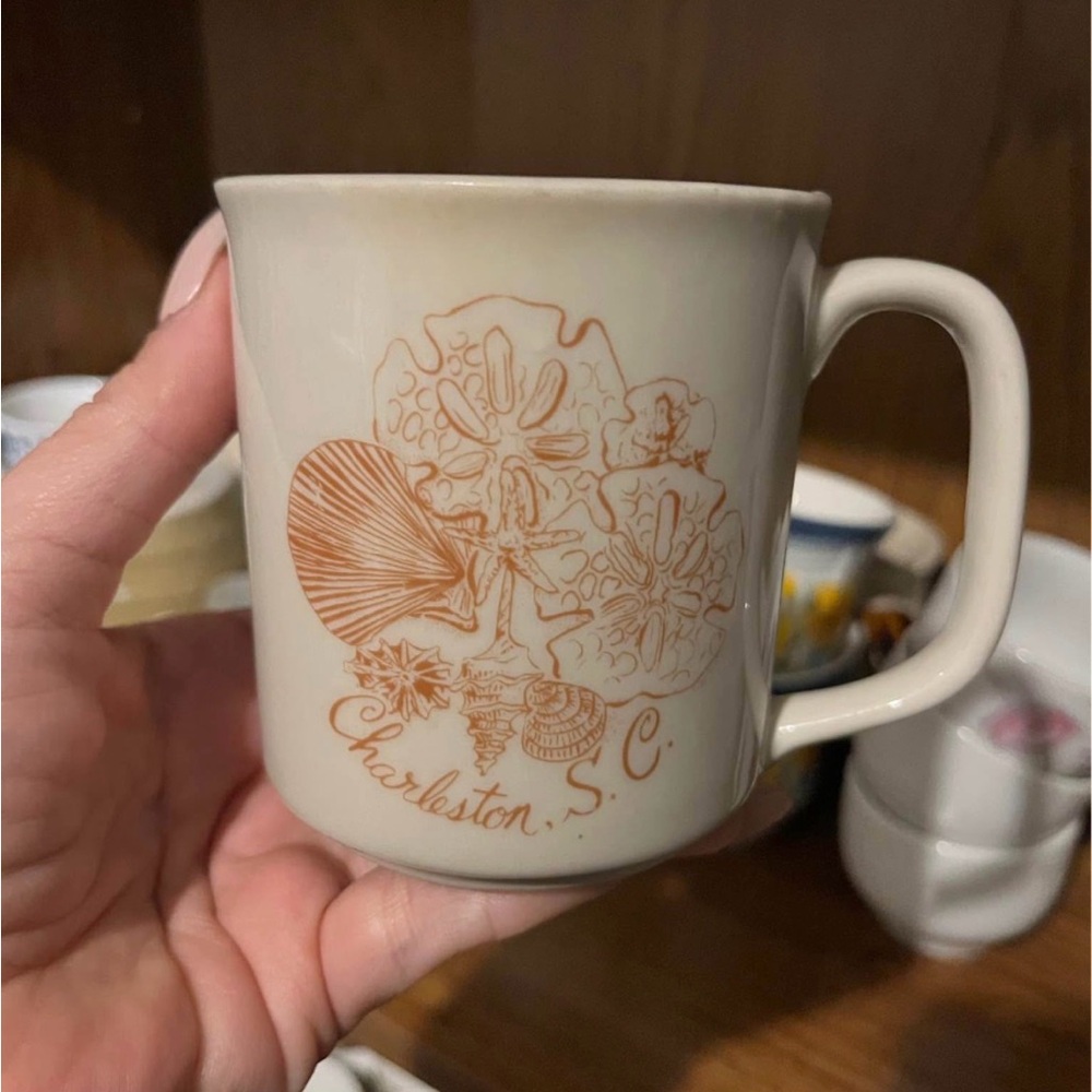 Charleston S.C. Cream and Brown Mug